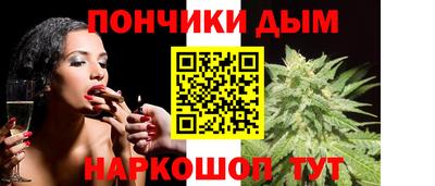 дмт Гатчина
