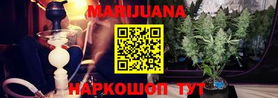 индика Гагарин