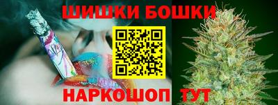 индика Гагарин