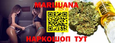 дмт Гатчина