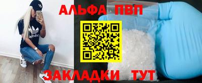 дмт Гатчина