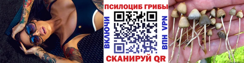 Псилоцибиновые грибы ЛСД  Бирск 
