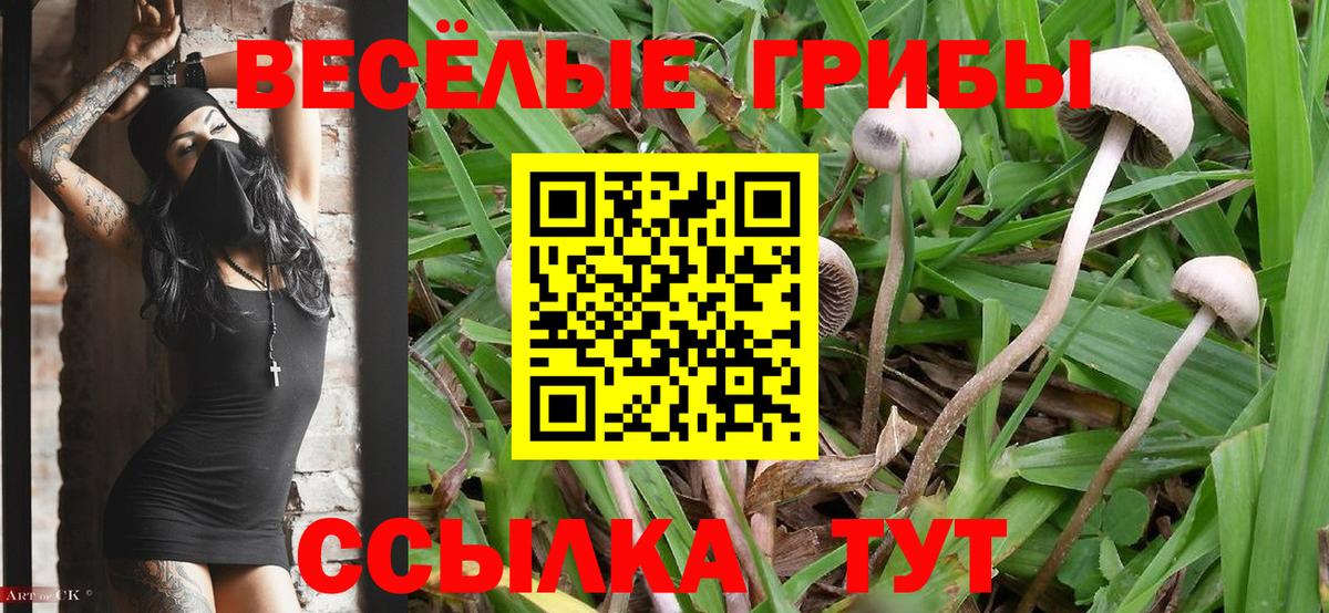 Псилоцибиновые грибы MAGIC MUSHROOMS  Вход с VPN  Бирск 