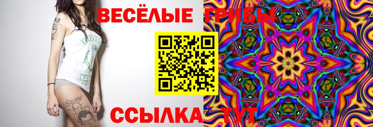 Галлюциногенные грибы Psilocybine cubensis  Бирск 